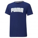 Puma Alpha Graphic Tee B