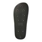 Champion DTN21 Slide