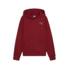 Puma BETTER ESSENTIALS Hoodie FL
