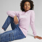 Puma ESS Logo Hoodie TR G