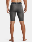 Under Armour HG Armour Lng Shorts