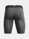 Under Armour HG Armour Lng Shorts