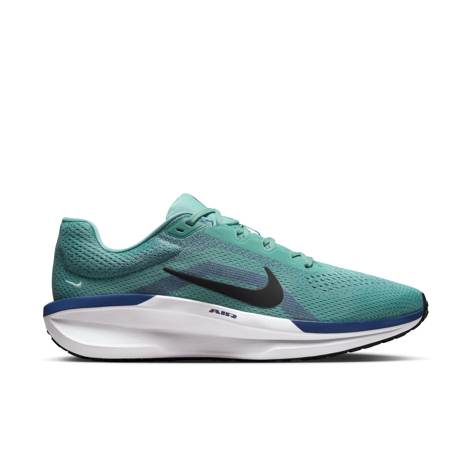 E-shop Nike M Winflo 11 Run Shoes