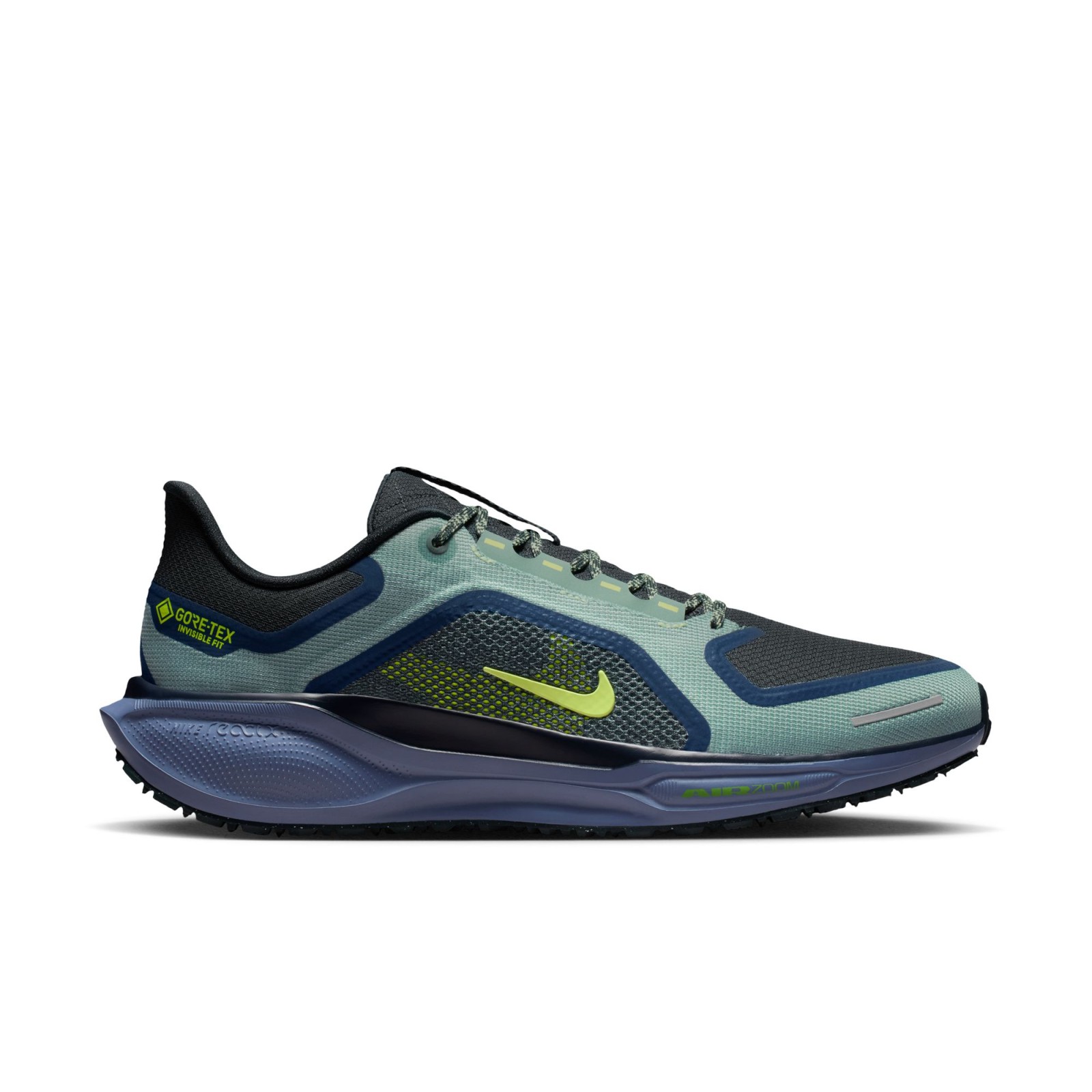 Nike Pegasus 41 GORE-TEX 45.